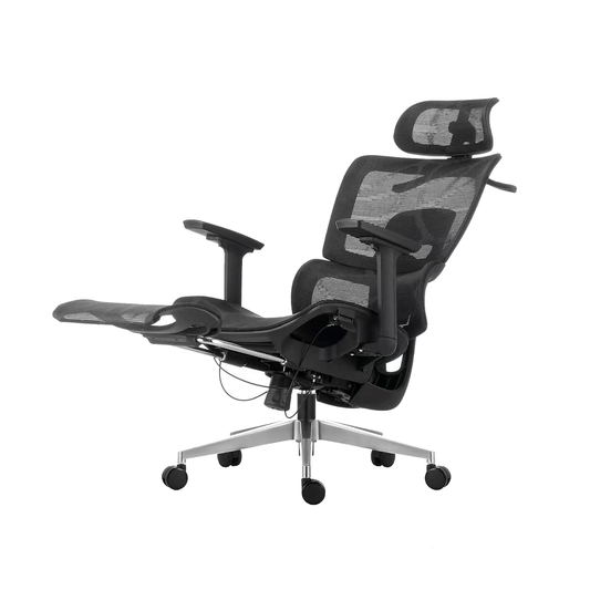 Silla Oficina Ejecutiva Ergo Luxury Premium Ergonómica Reclinable