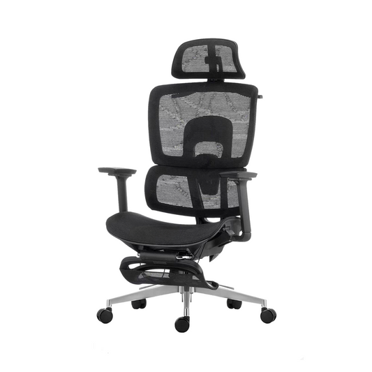 Silla Oficina Ejecutiva Ergo Luxury Premium Ergonómica Reclinable