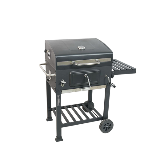 Parrilla a carbón FT01-126 con doble parrilla cromada