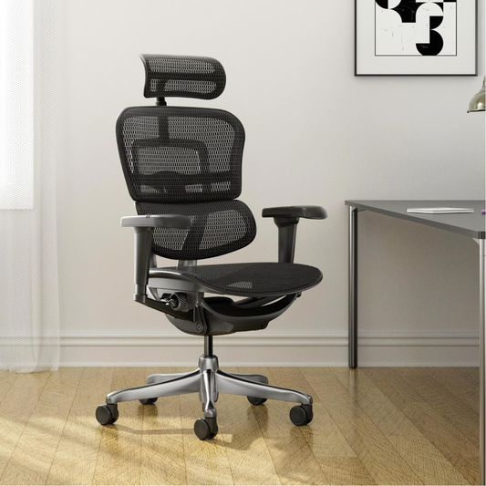 Silla Oficina Ejecutiva Ergo Luxury Premium Ergonómica Reclinable